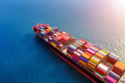 Aayan Global Trading is an international trading company