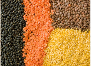 Pulses